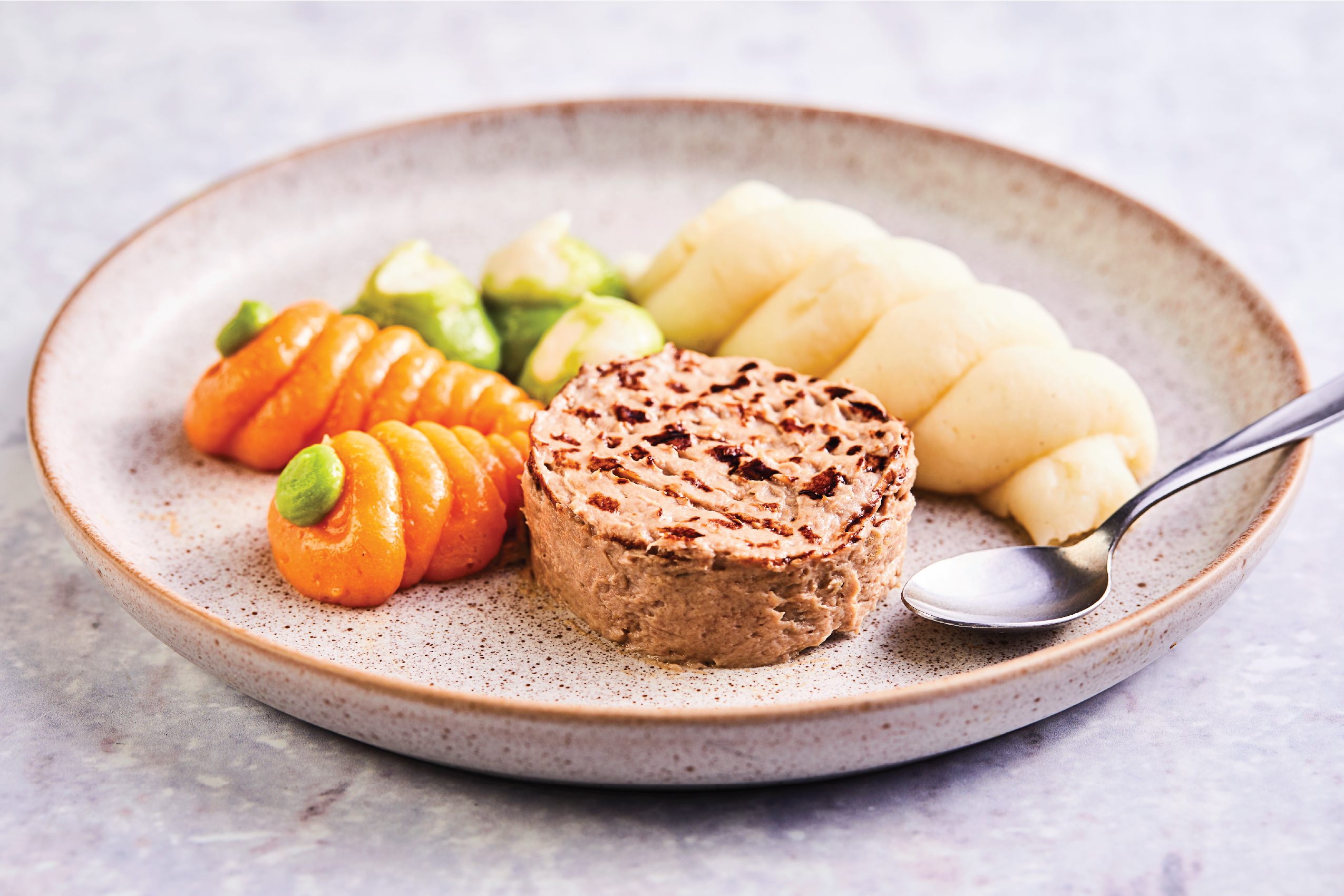 Puree Artistry Culinary Kit