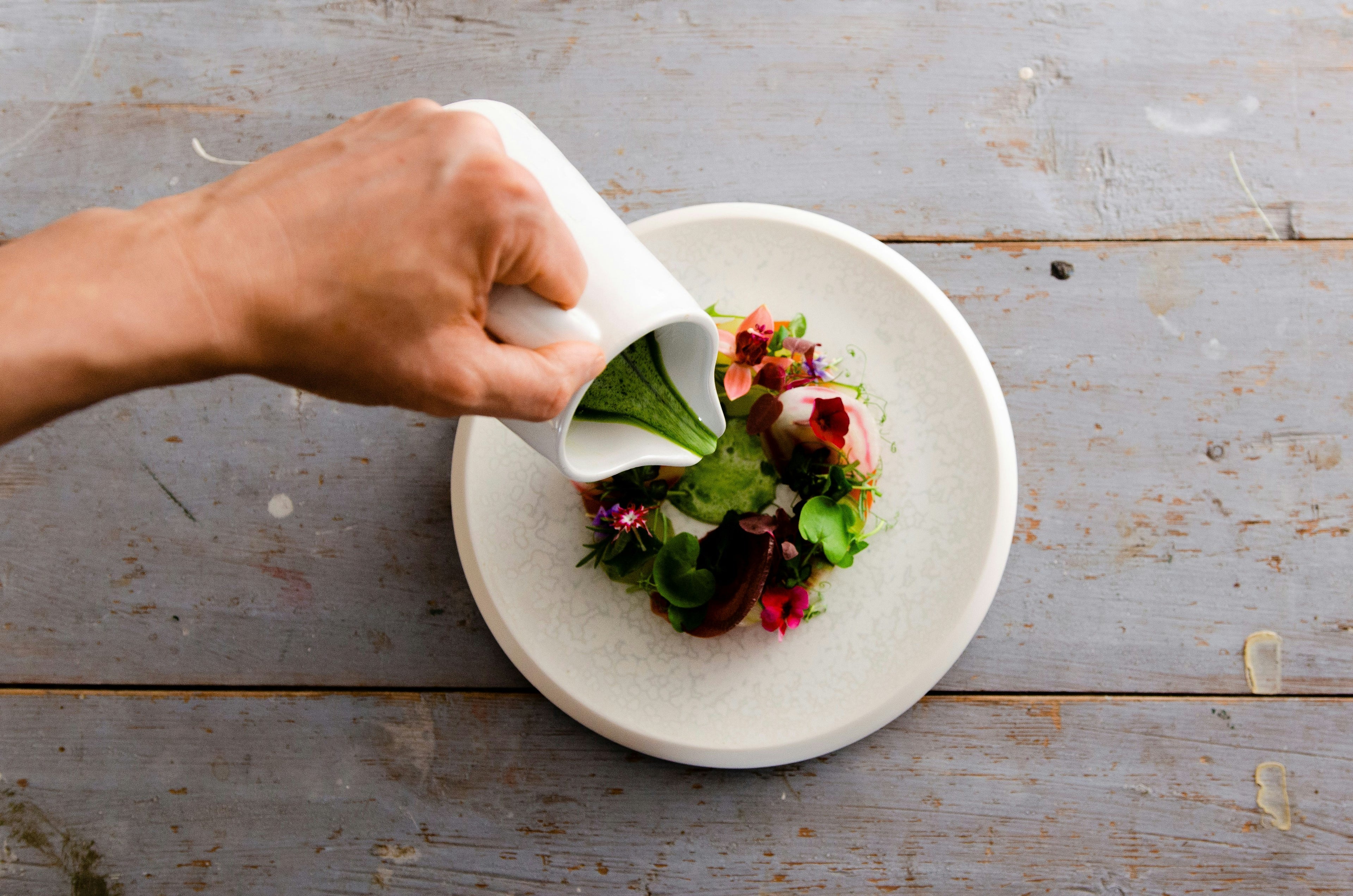 Food Artistry Training Membership