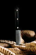 Knife Skills 101 Culinary Kit